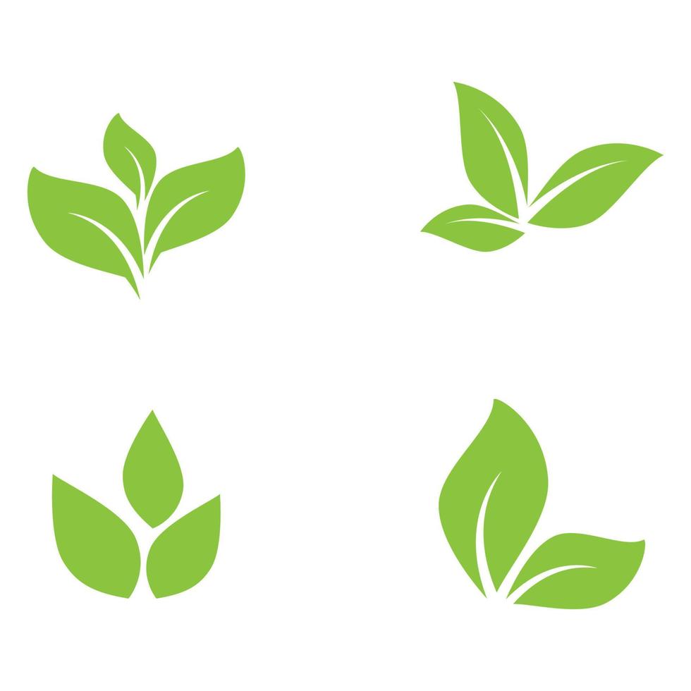 Green leaf illustration nature logo design vector