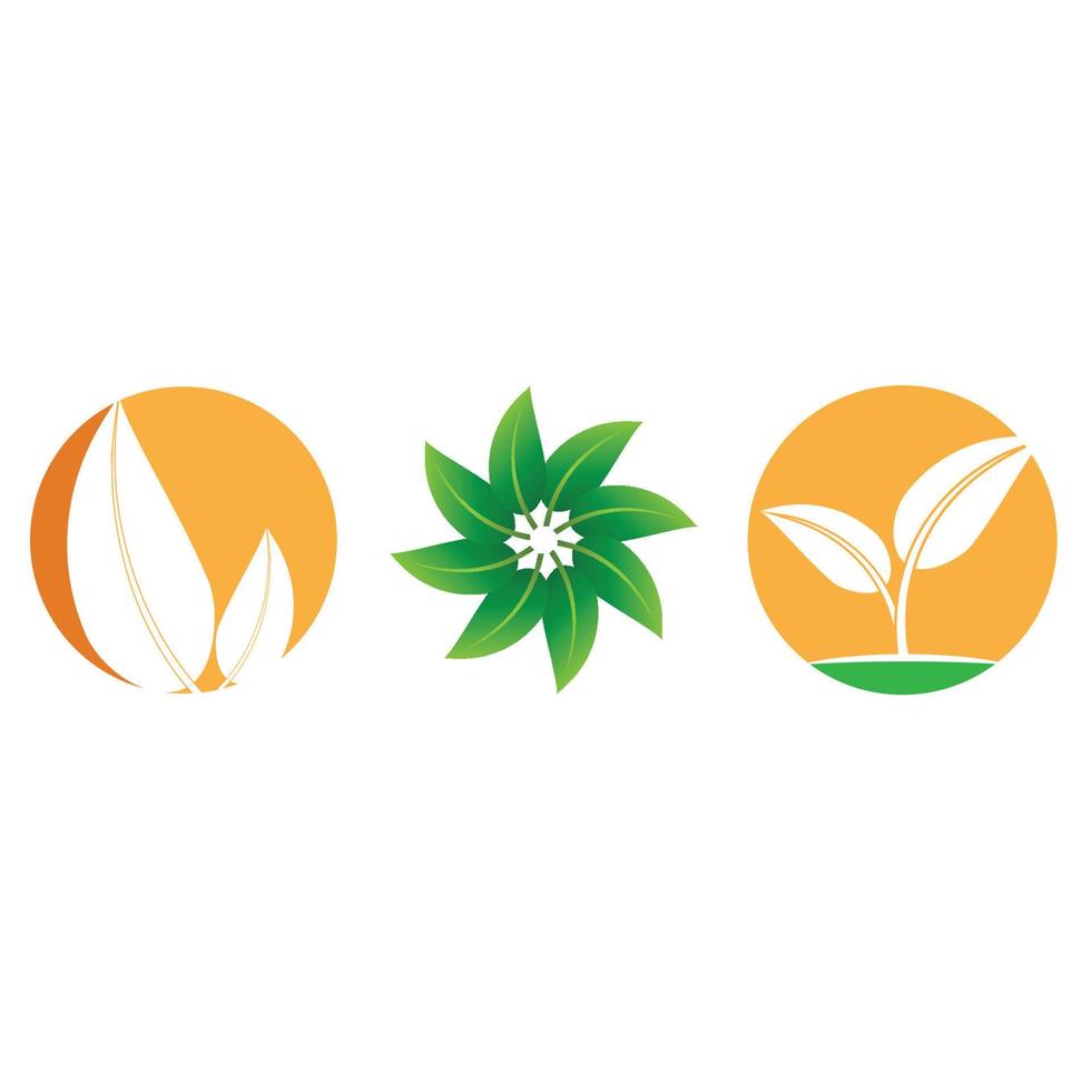 Green leaf illustration nature logo design vector