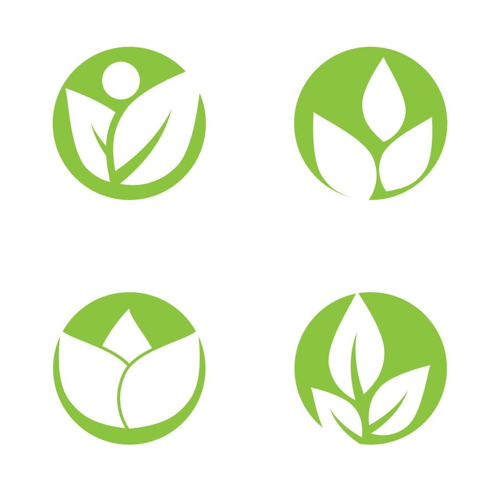 Green leaf illustration nature logo design vector