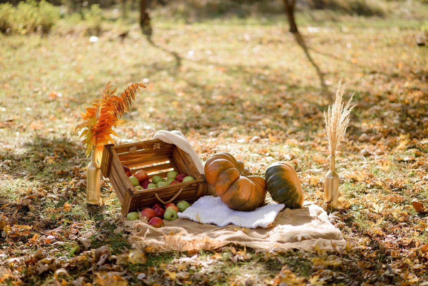 decoración de otoño en el parque. calabazas y manzanas rojas en caja de madera sobre fondo de otoño. otoño. día de Gracias. foto