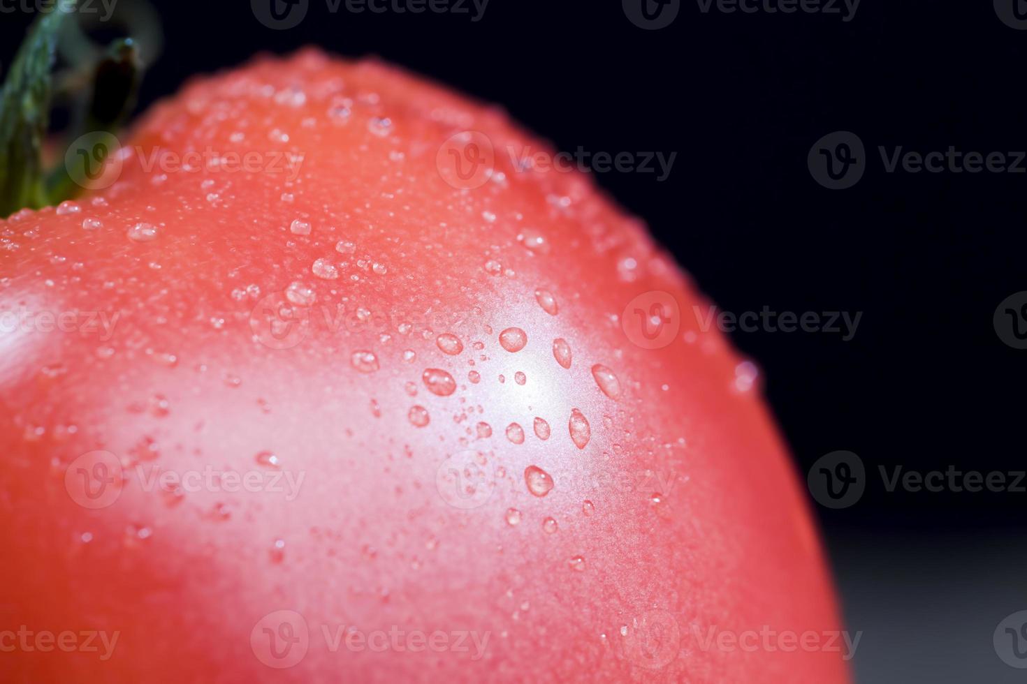 covered with drops of water photo