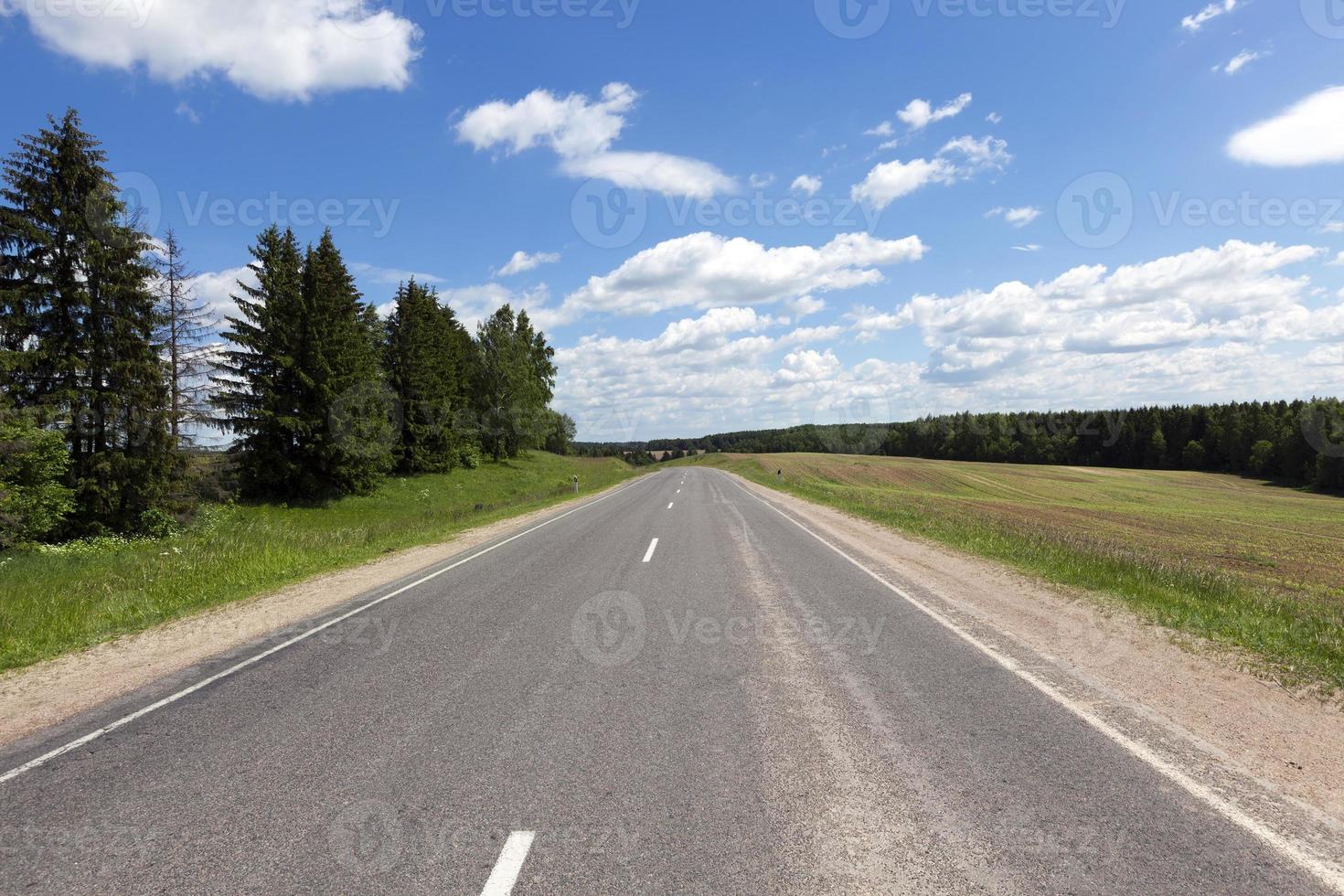 Road in spring photo