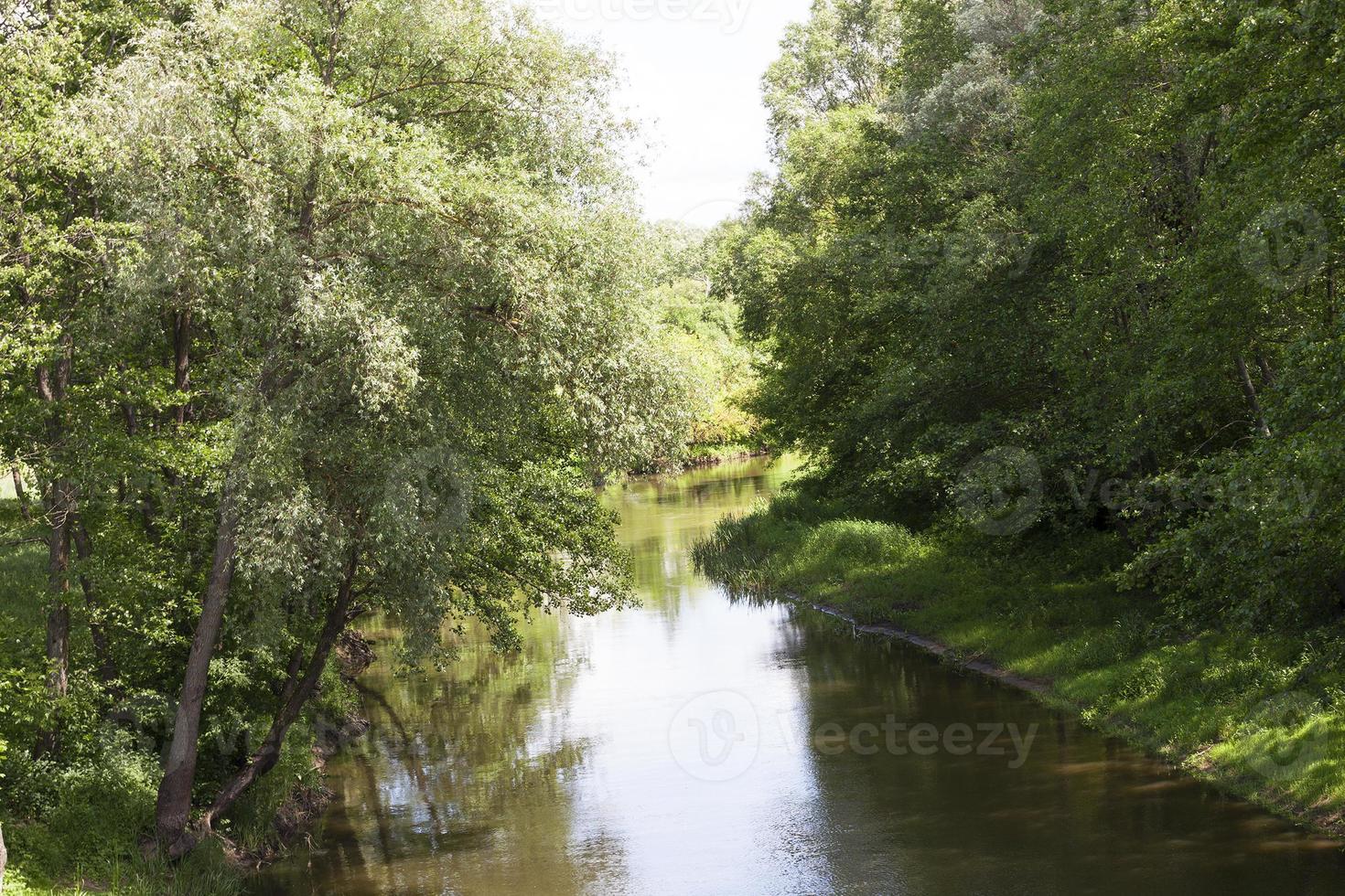 river in nature photo