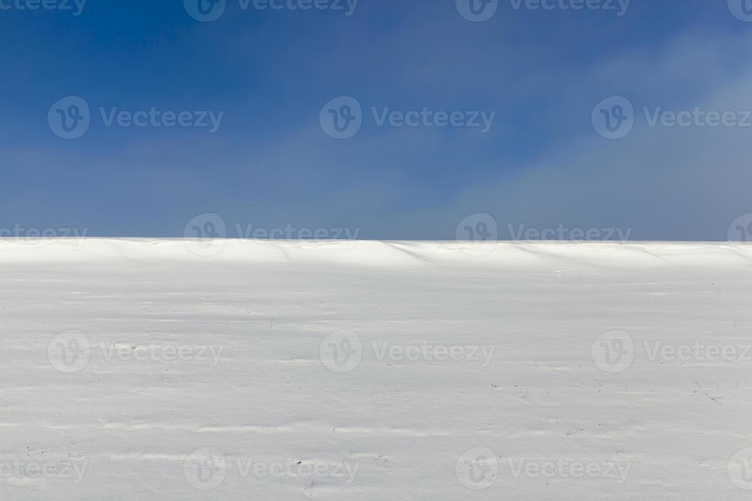 snow drifts in the winter season photo