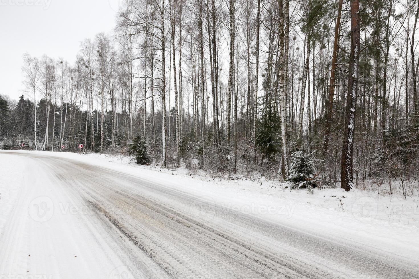 Road in winter photo