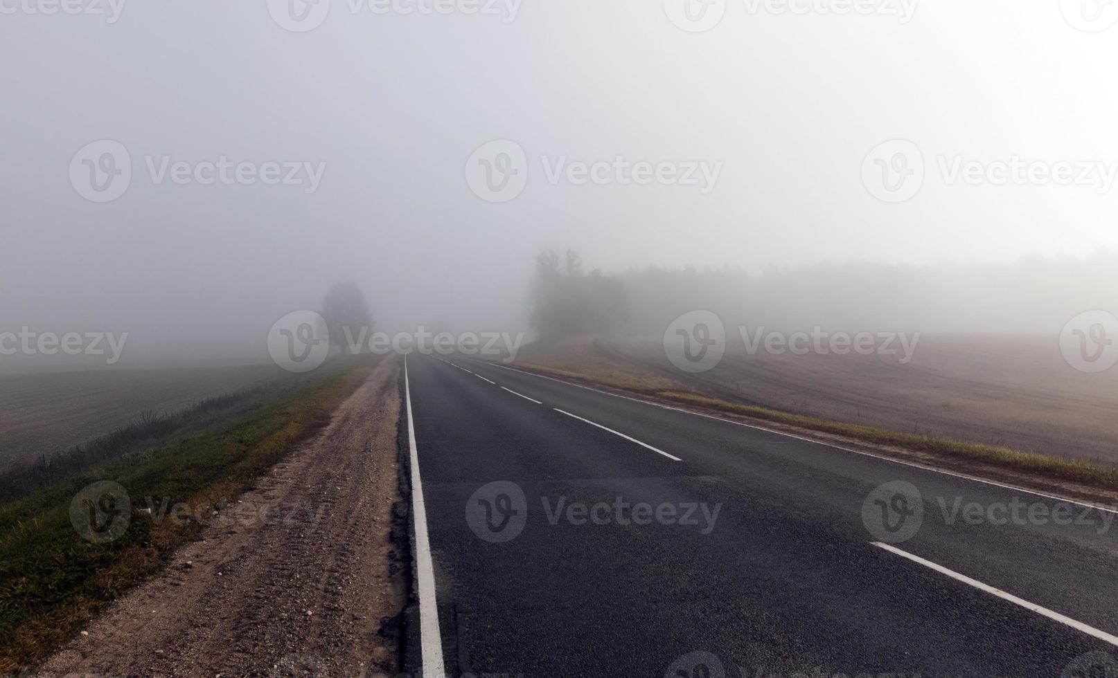 Road and fog photo