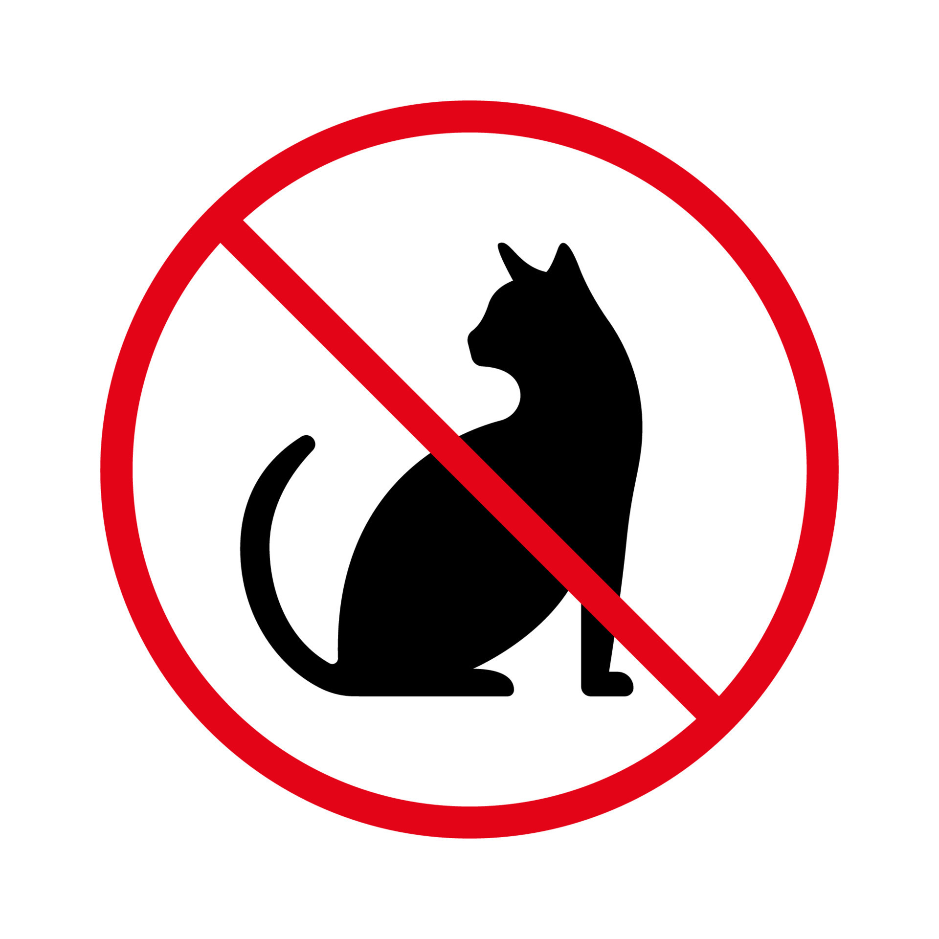 Pets are not allowed