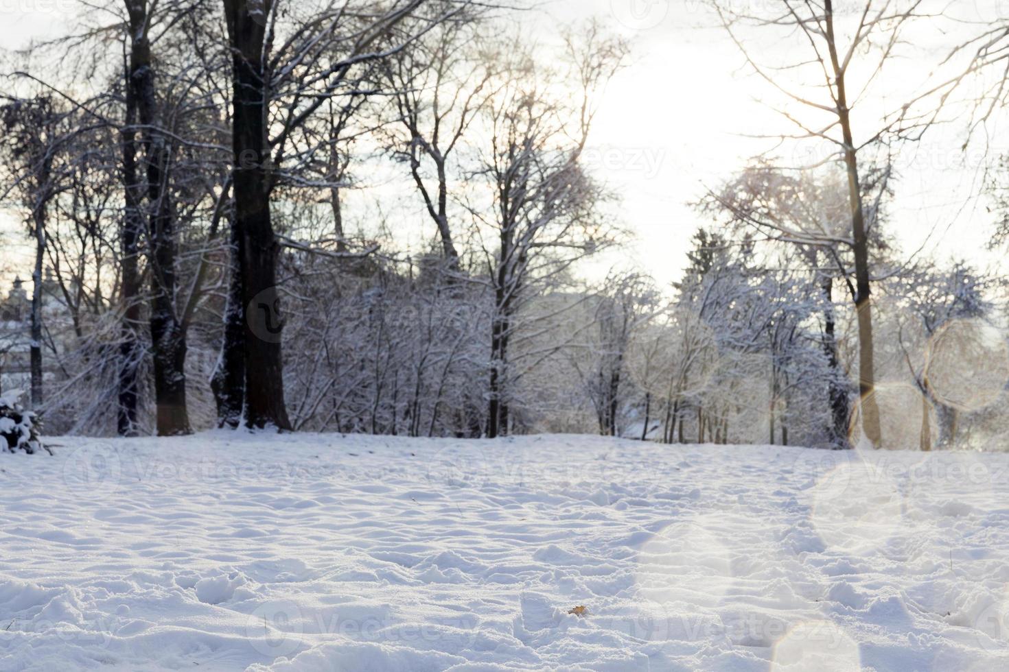 Snow drifts in winter photo