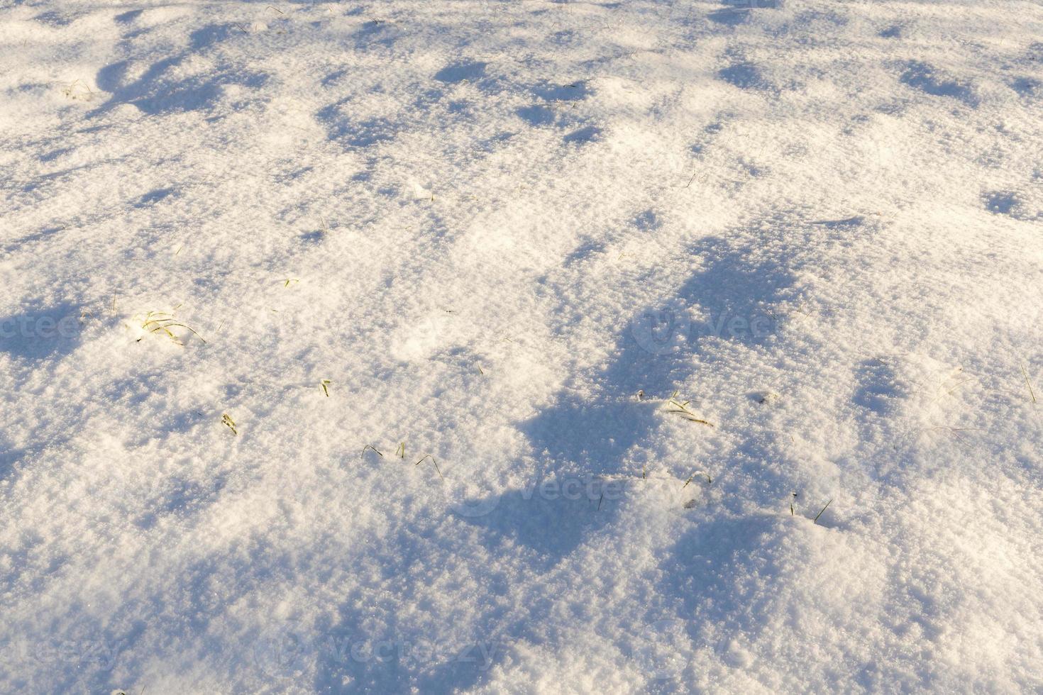 Snow drifts in winter photo