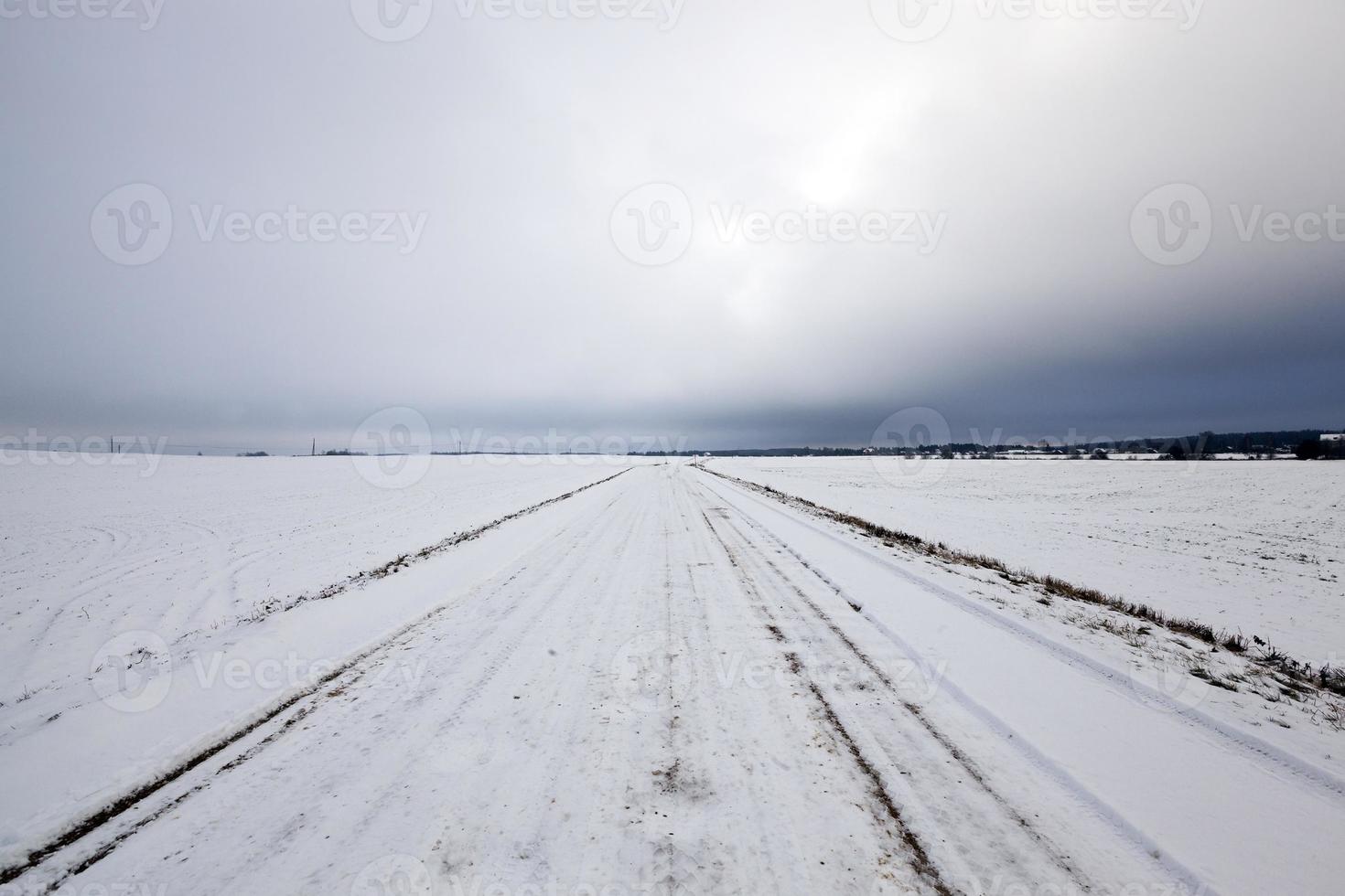 camino cubierto de nieve foto