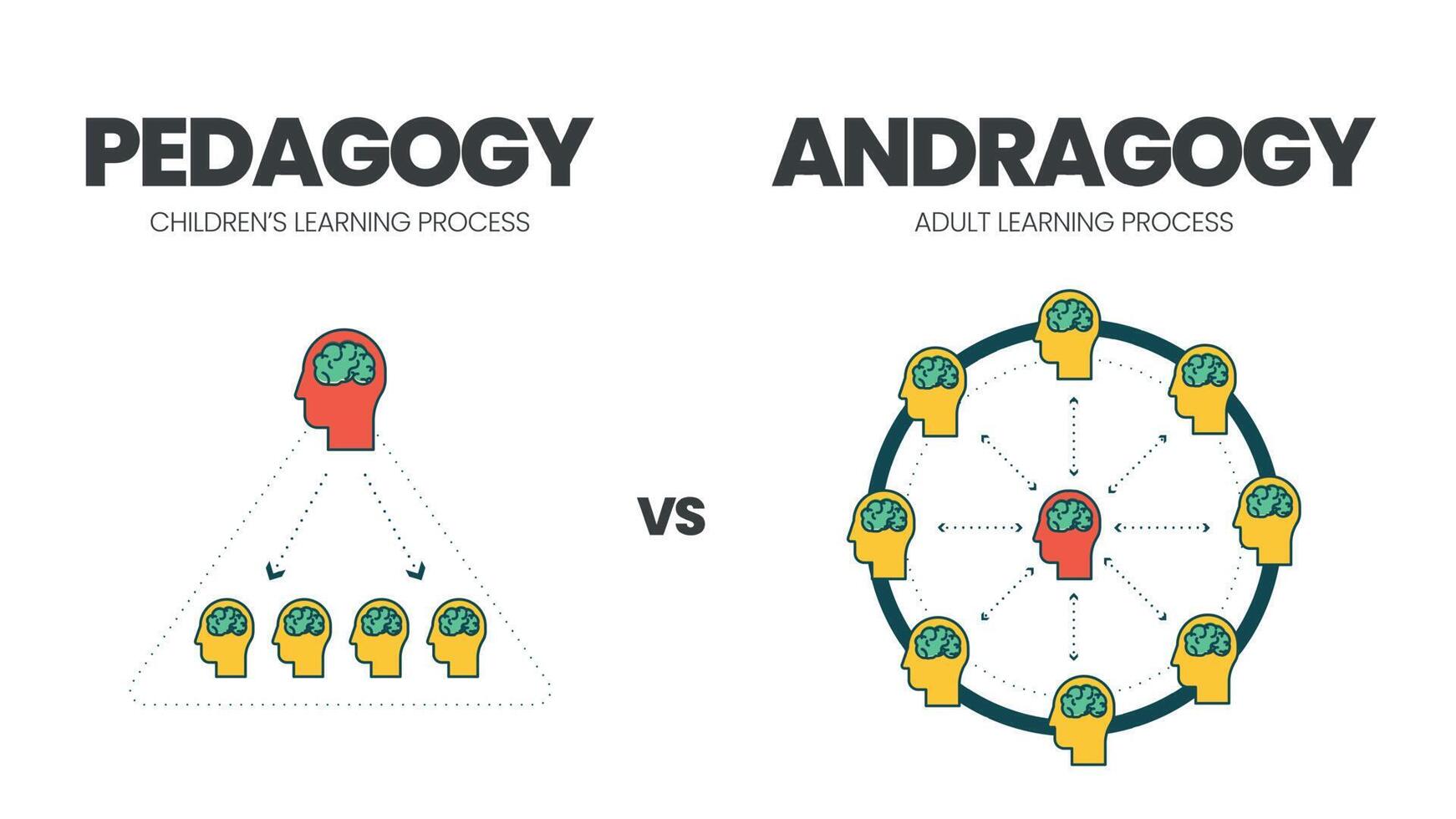 la ilustración vectorial de la comparación entre la pedagogía o el aprendizaje infantil y la andragogía o la educación de adultos. la infografía es diferente a que los maestros en el aprendizaje de adultos son facilitadores, no enseñan vector