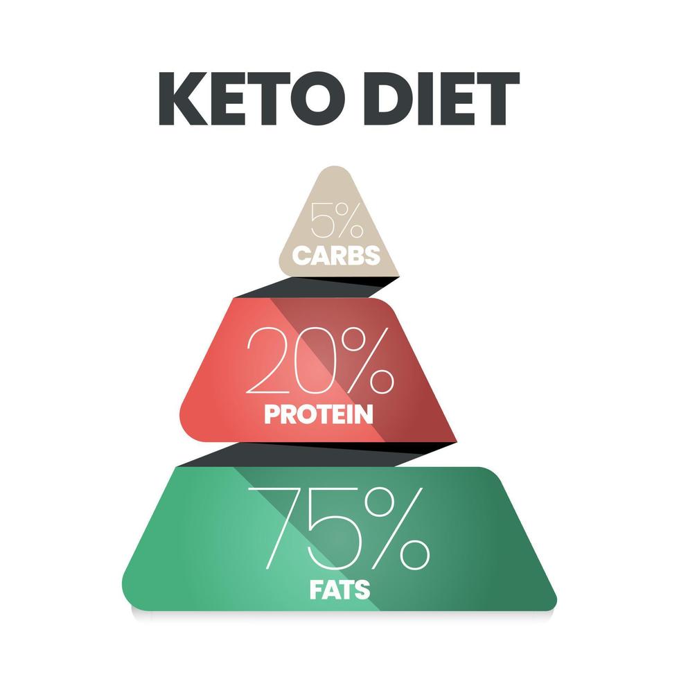 A vector infographic of The Keto Diet base on strategy pyramid model concept has 3 levels such as carbs, protein and fats. Low carbs and high healthy fat concepts. Triangle model infographic vector.