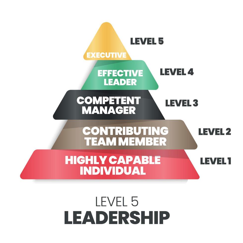 The vector of the 5 levels of the leadership pyramid vector starts with a highly capable individual, contributing team member, competence manager,  effective leader, and executive for HRD analysis.