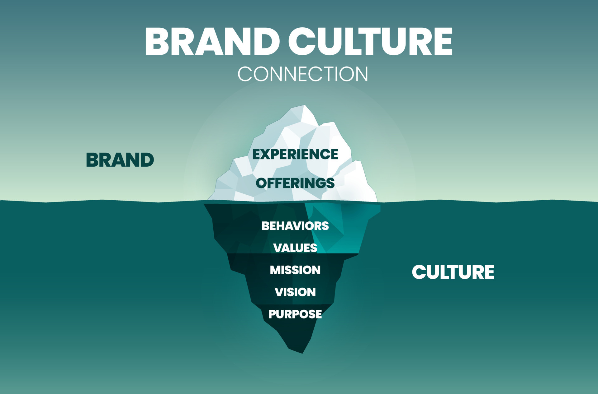 Brand Culture Connection is for improvement or marketing strategy