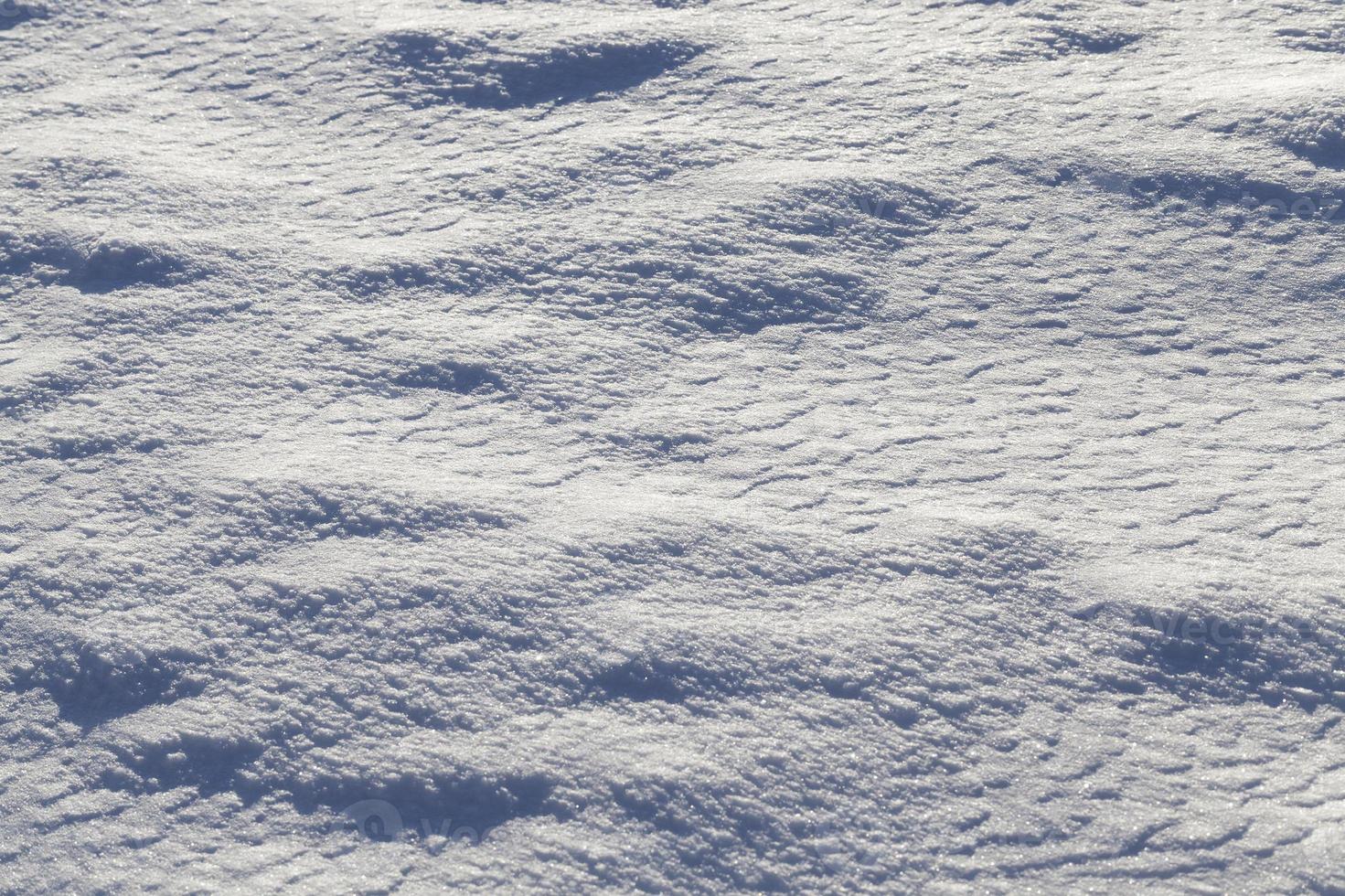 Snow after snowfall photo