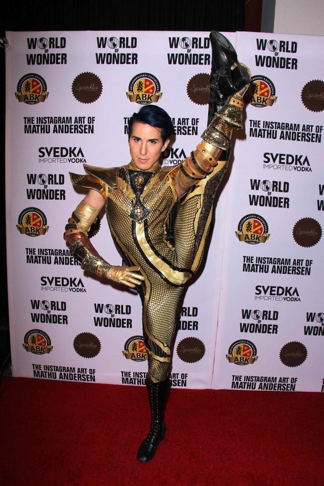 LOS ANGELES, NOV 13 - Ricky Rebel at the The Instagram Art of Mathu Andersen at the World of Wonder Gallery on November 13, 2014 in Los Angeles, CA photo