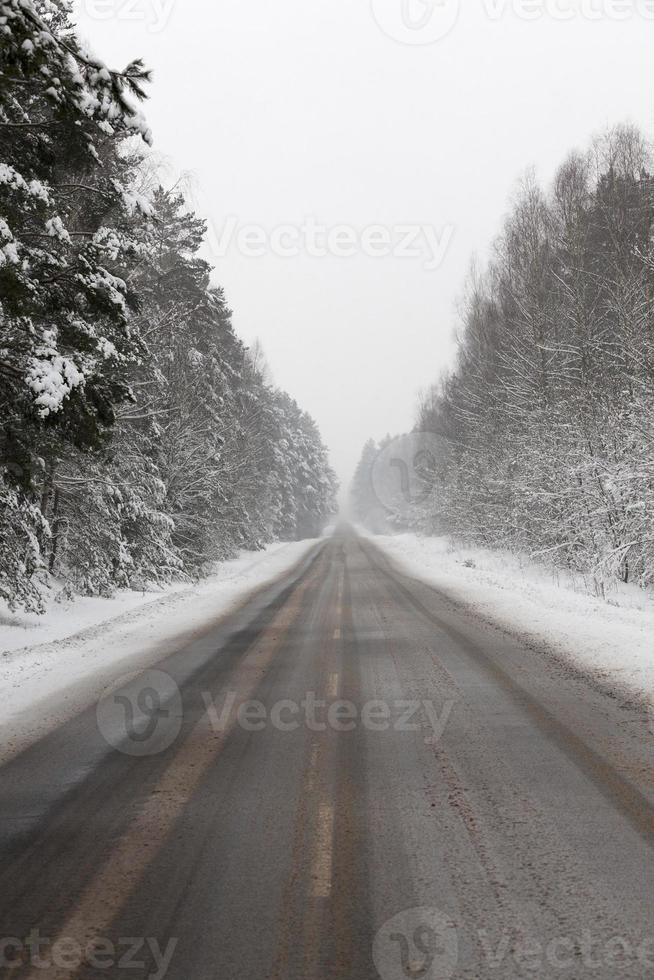 camino bajo la nieve foto