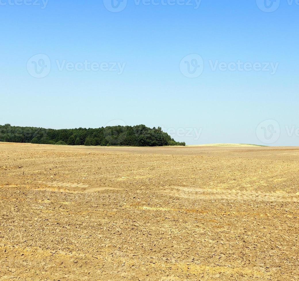 Plowed soil, a field photo