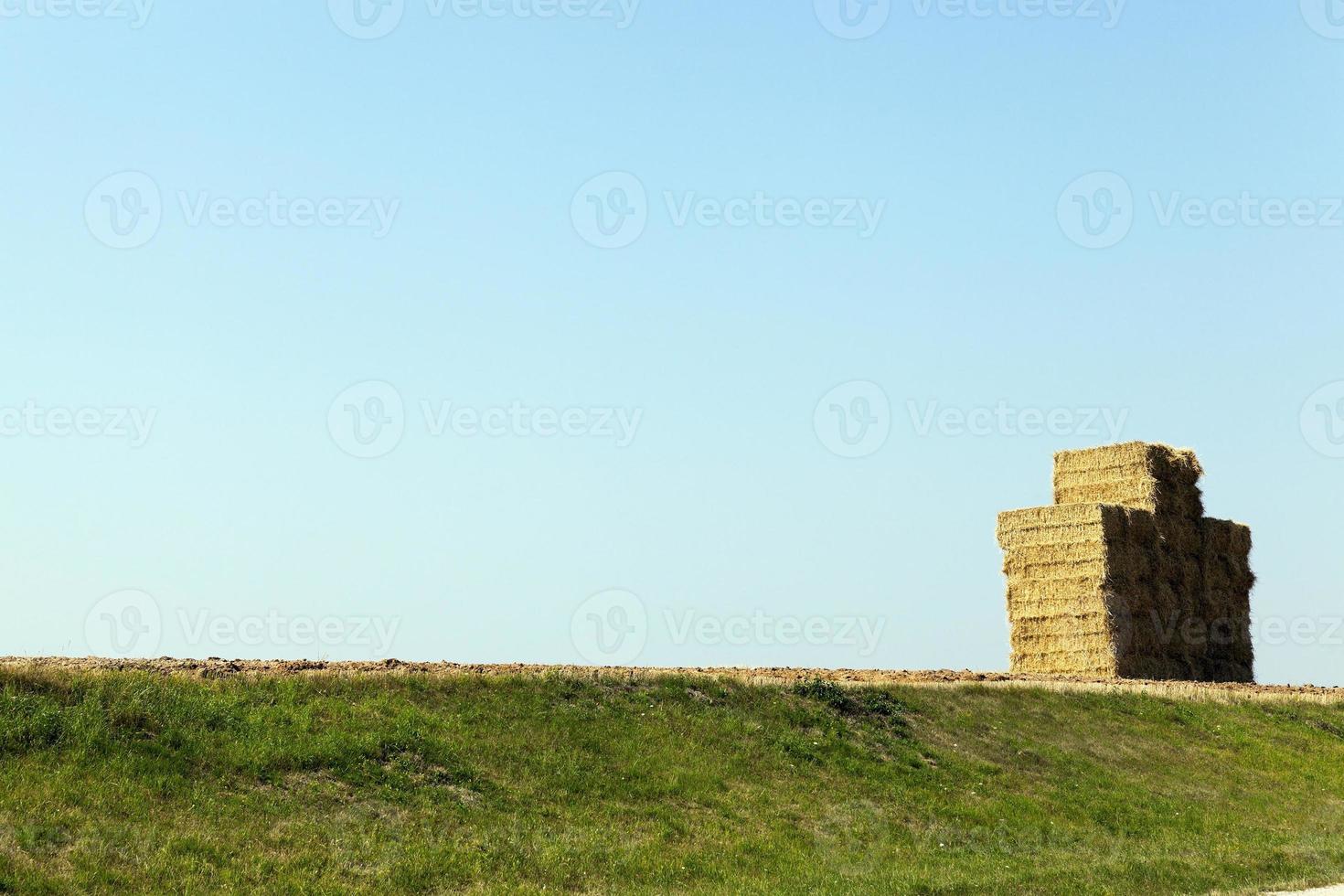 Stack of straw, wheat photo