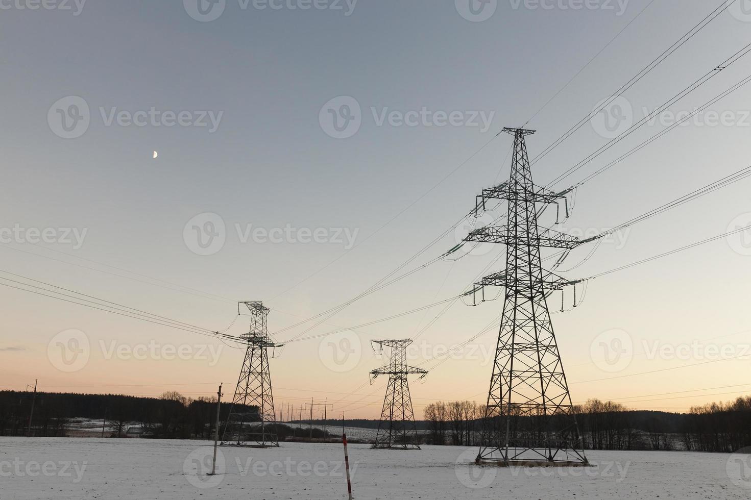 electric poles, winter photo