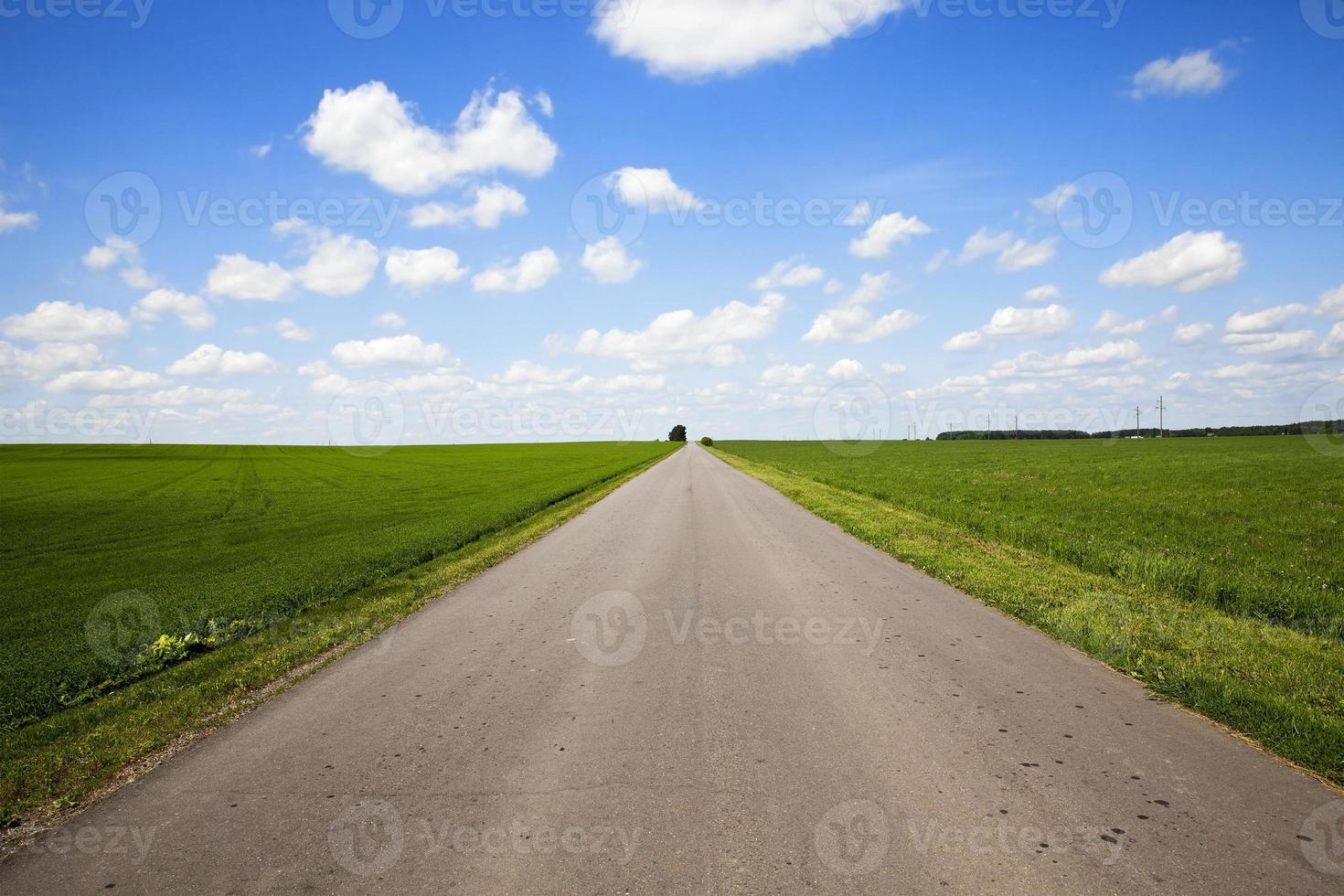 road in a field photo