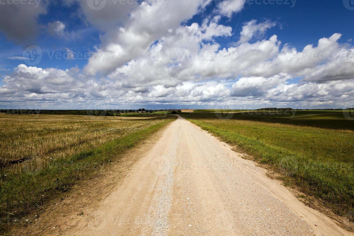 pequeño camino rural foto