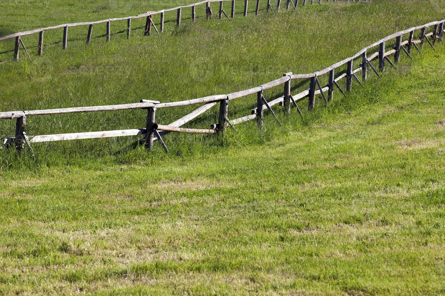 wooden fence on the farm photo