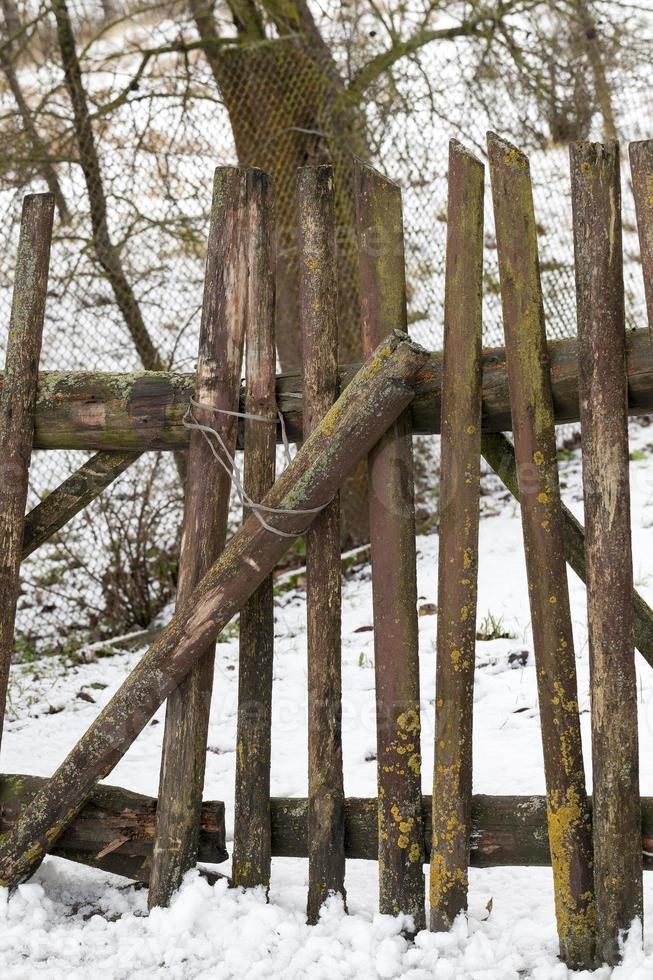 Old wooden fence photo