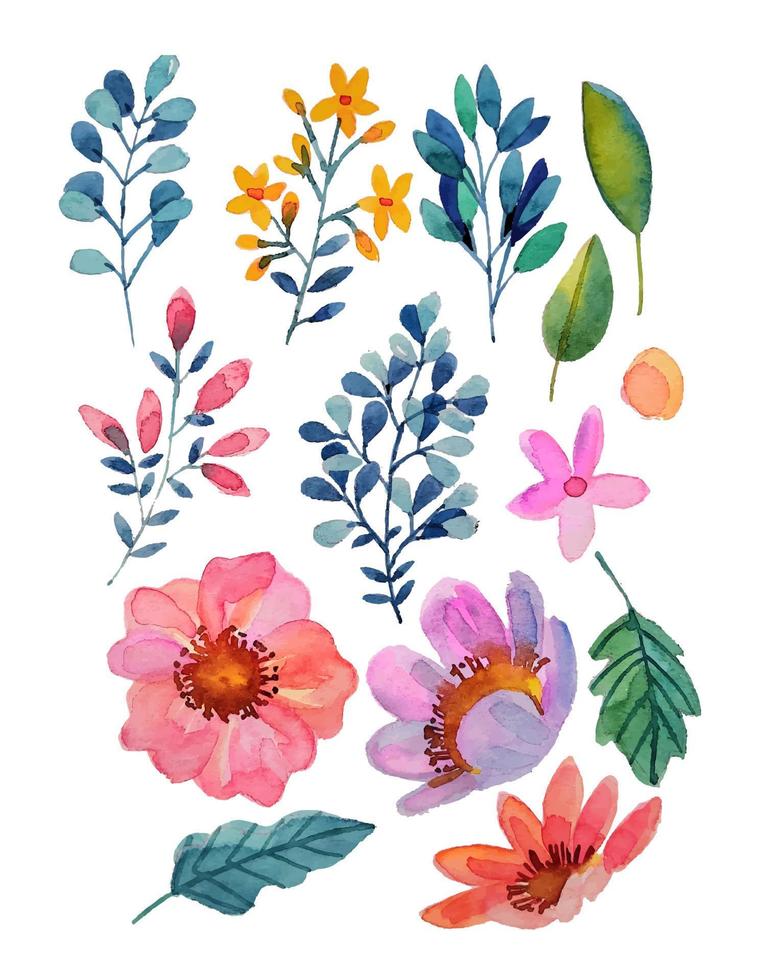 watercolor flower blossom elements clipart vector