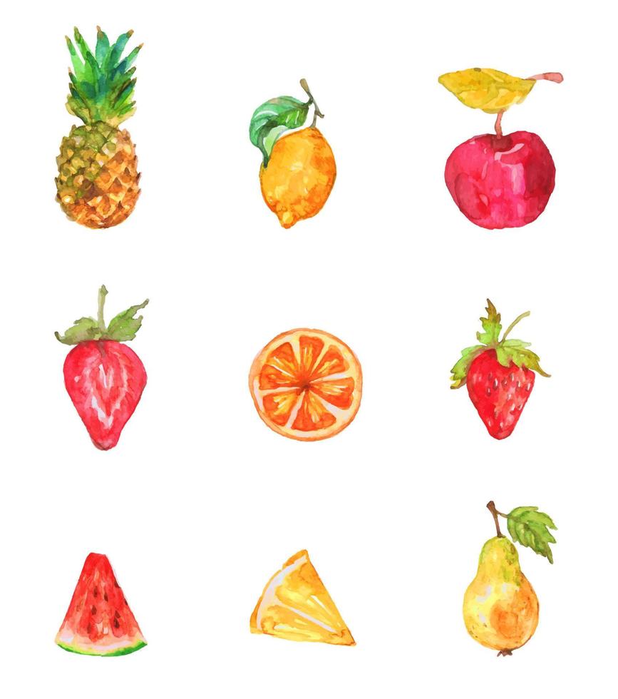 vector de imágenes prediseñadas de acuarela de frutas tropicales