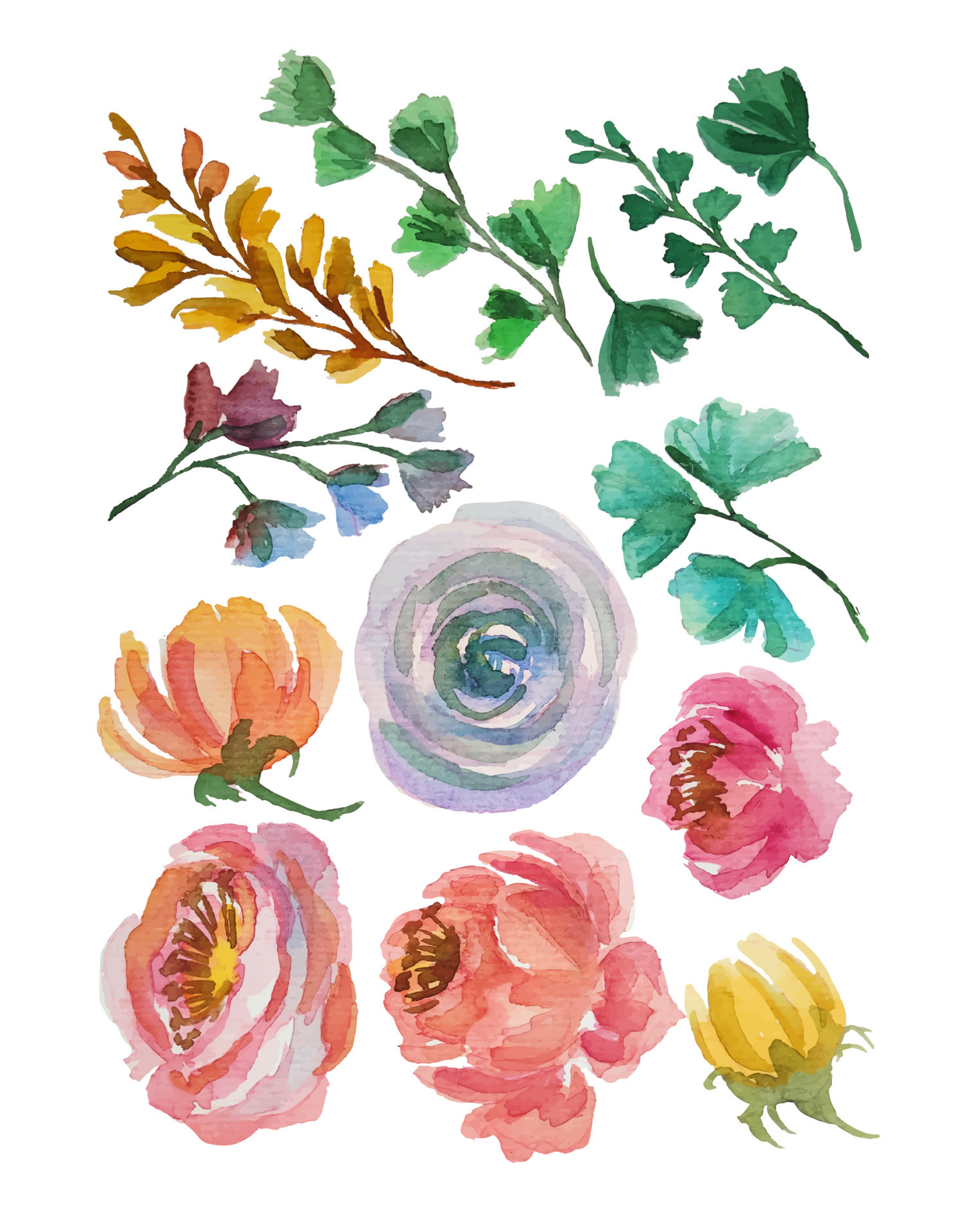 watercolor flower blossom elements clipart 9494322 Vector Art at Vecteezy