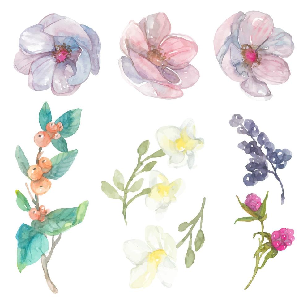 watercolor flower blossom elemets vector