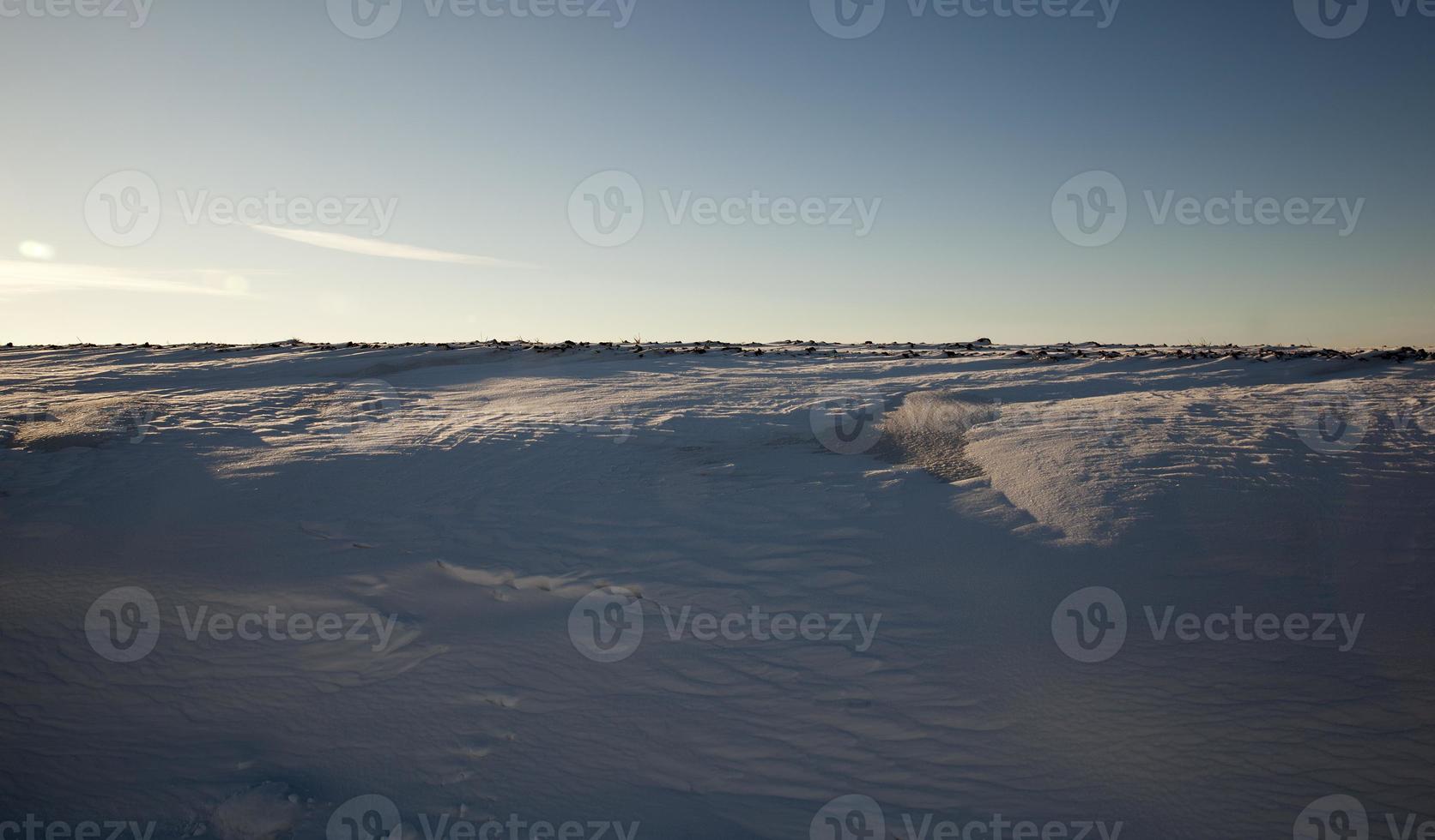 field covered with snow photo