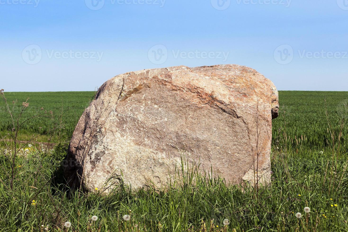 stone in the grass photo