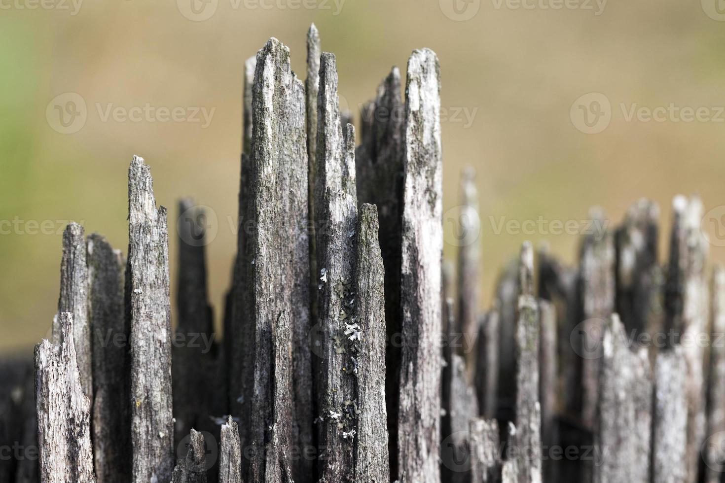 old wood fracture photo