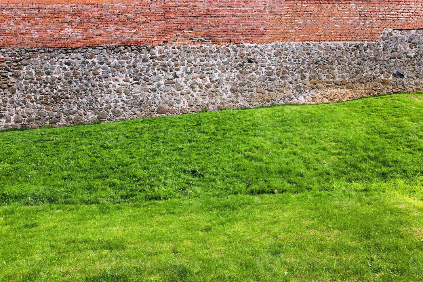 Grass at the fortress photo