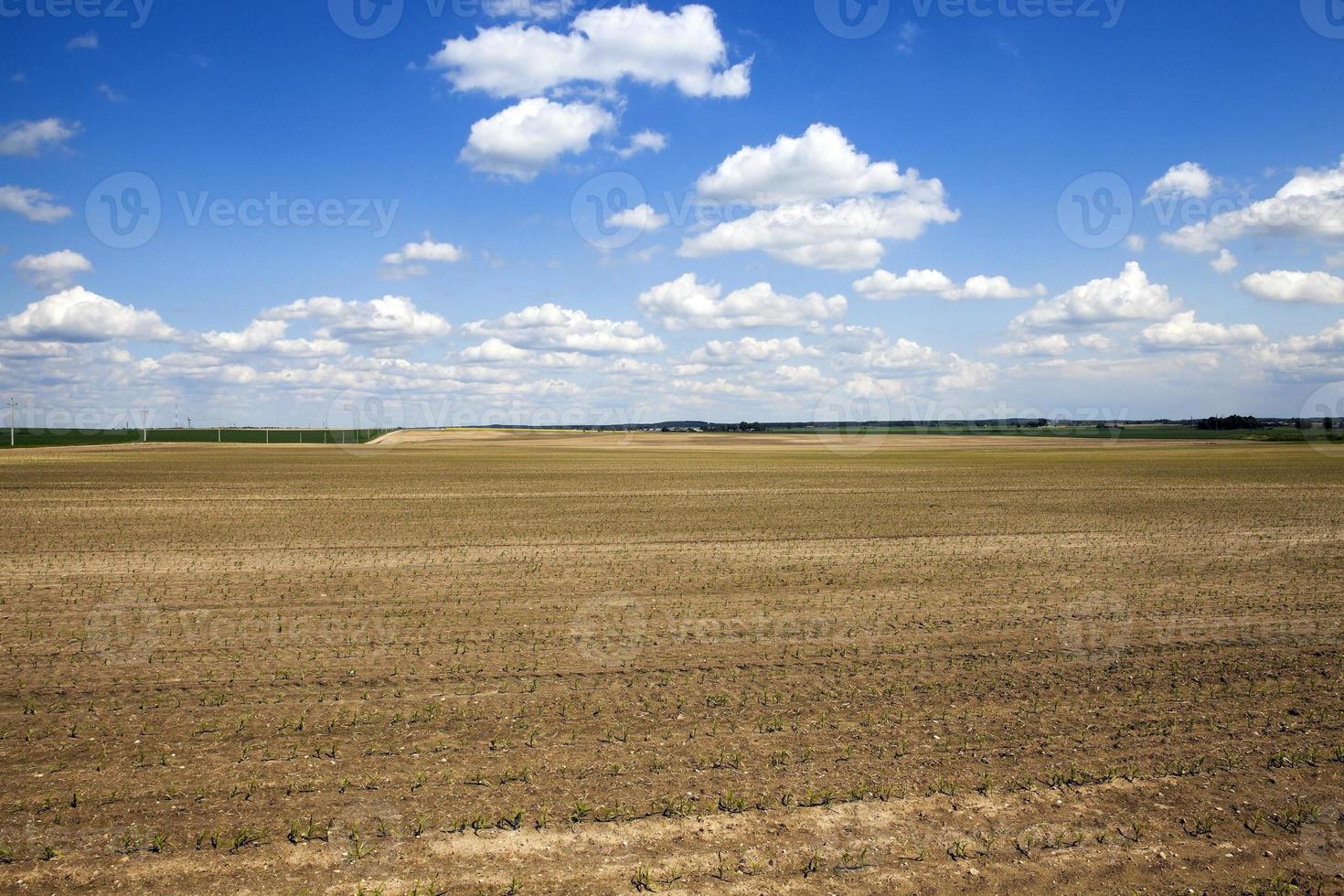 arado para la tierra de cultivo foto