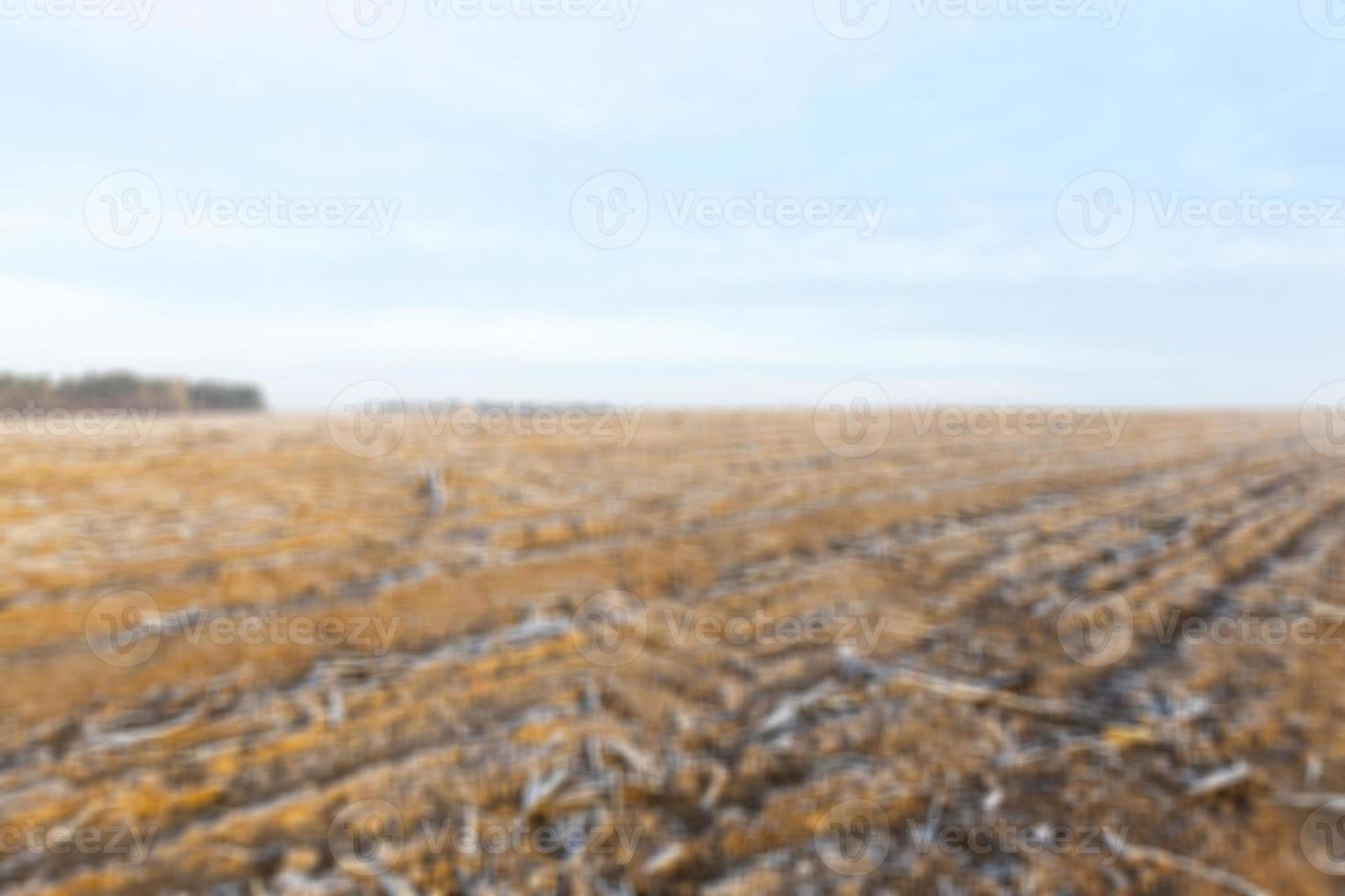 plowed land, frost photo