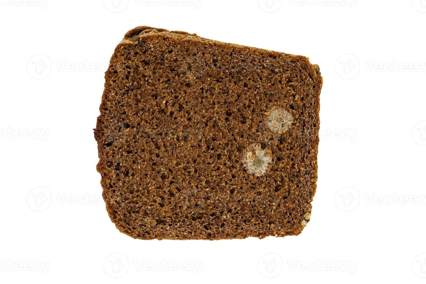 mold on bread photo