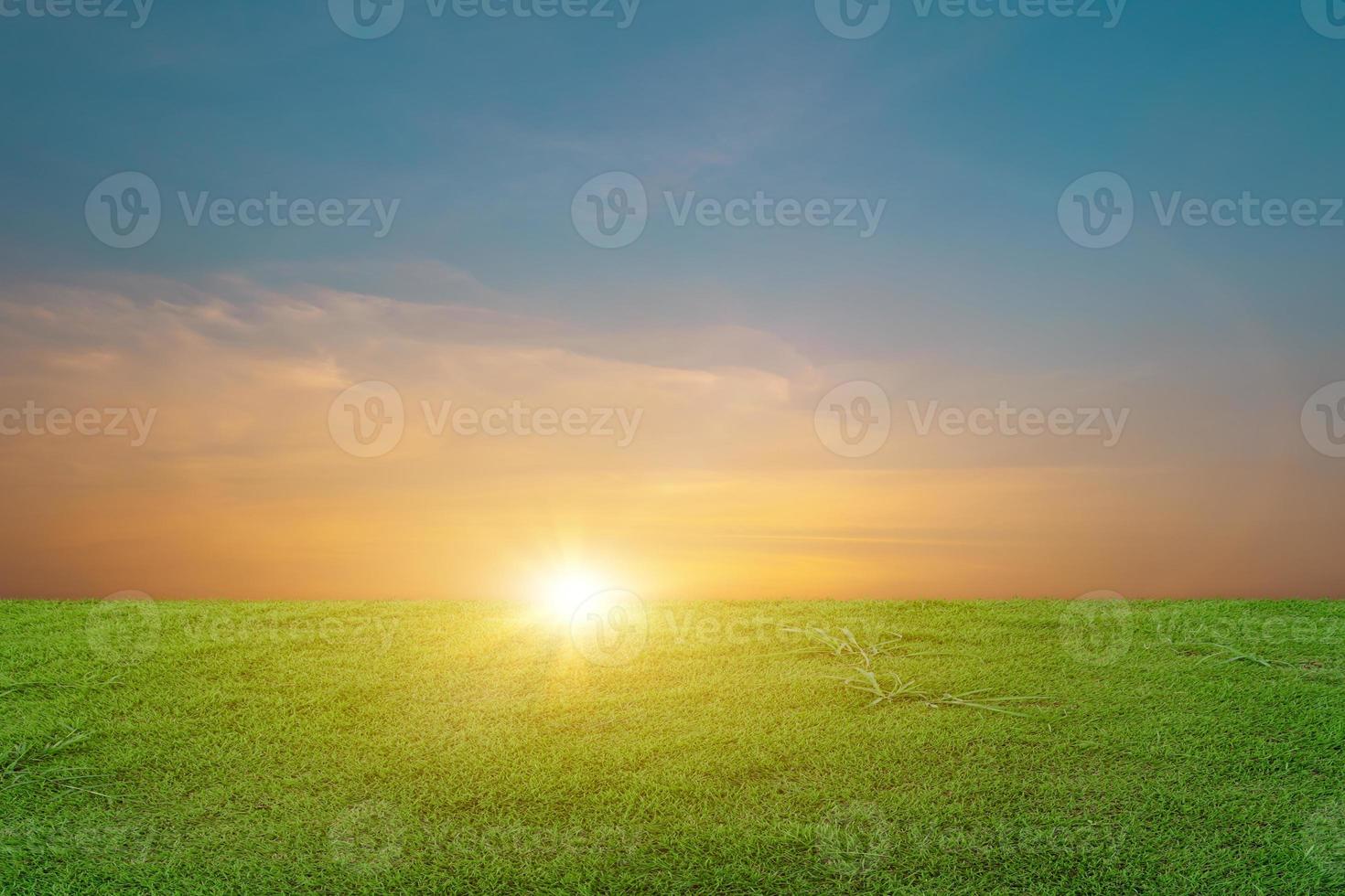 Green grass field at beautiful sunset sky background. rural landscape photo