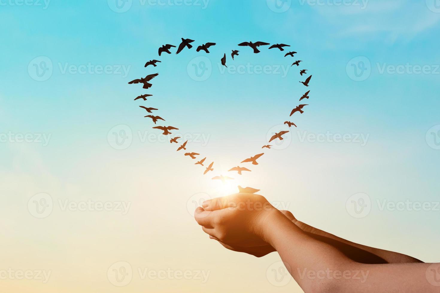 Silhouette of pigeon flying in shape heart out of the human hand against sky sunset background. photo