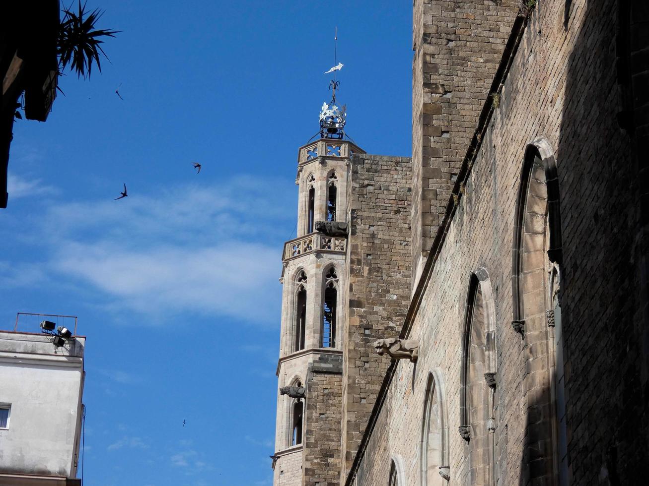 details of the religious building, church of Santa Maria del Mar in the Born district of Barcelona. photo