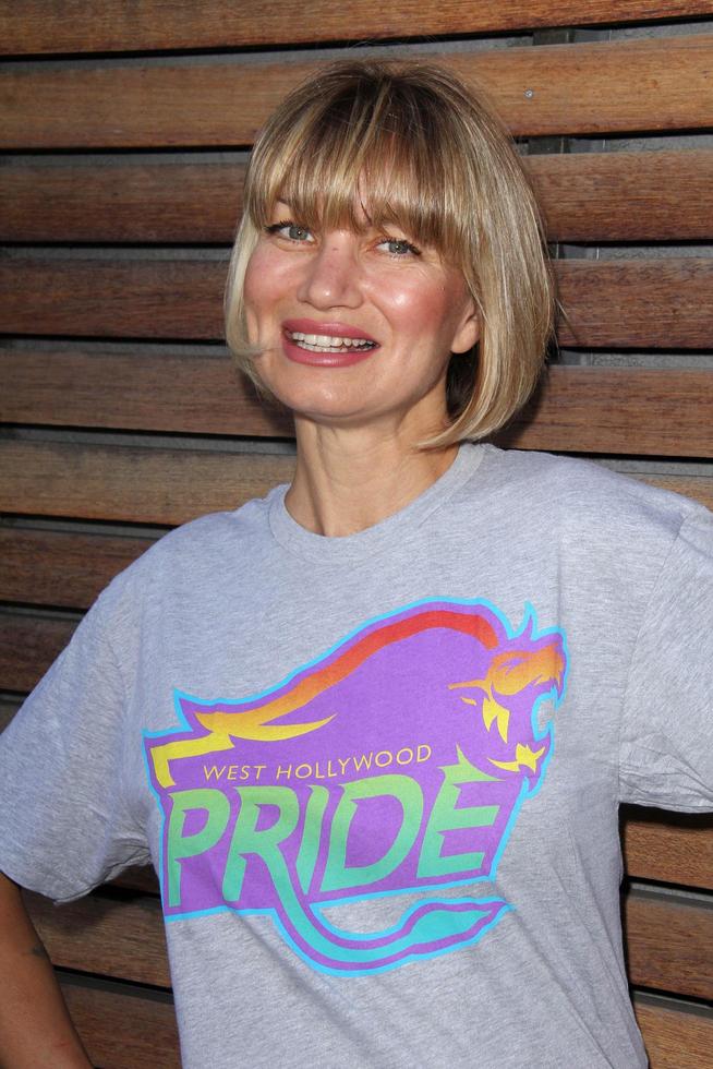 LOS ANGELES, JUN 18 - Rena Riffel at the Private LA Football League Summer Kickoff Suite featuring LA Football League T-Shirts at the Private Location on June 18, 2014 in Los Angeles, CA photo