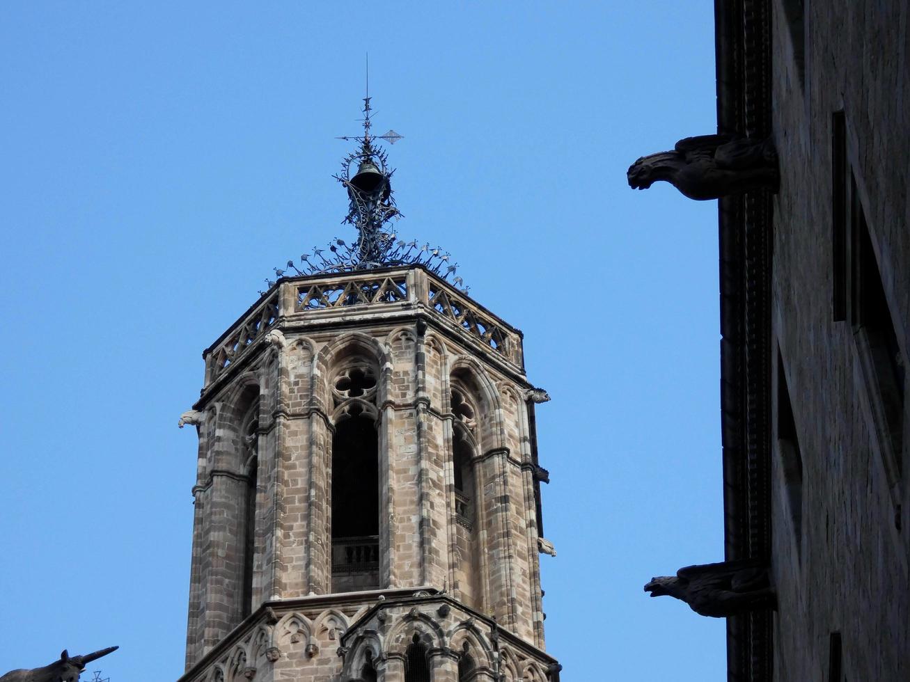 View of the back of the Barcelona Cathedral photo