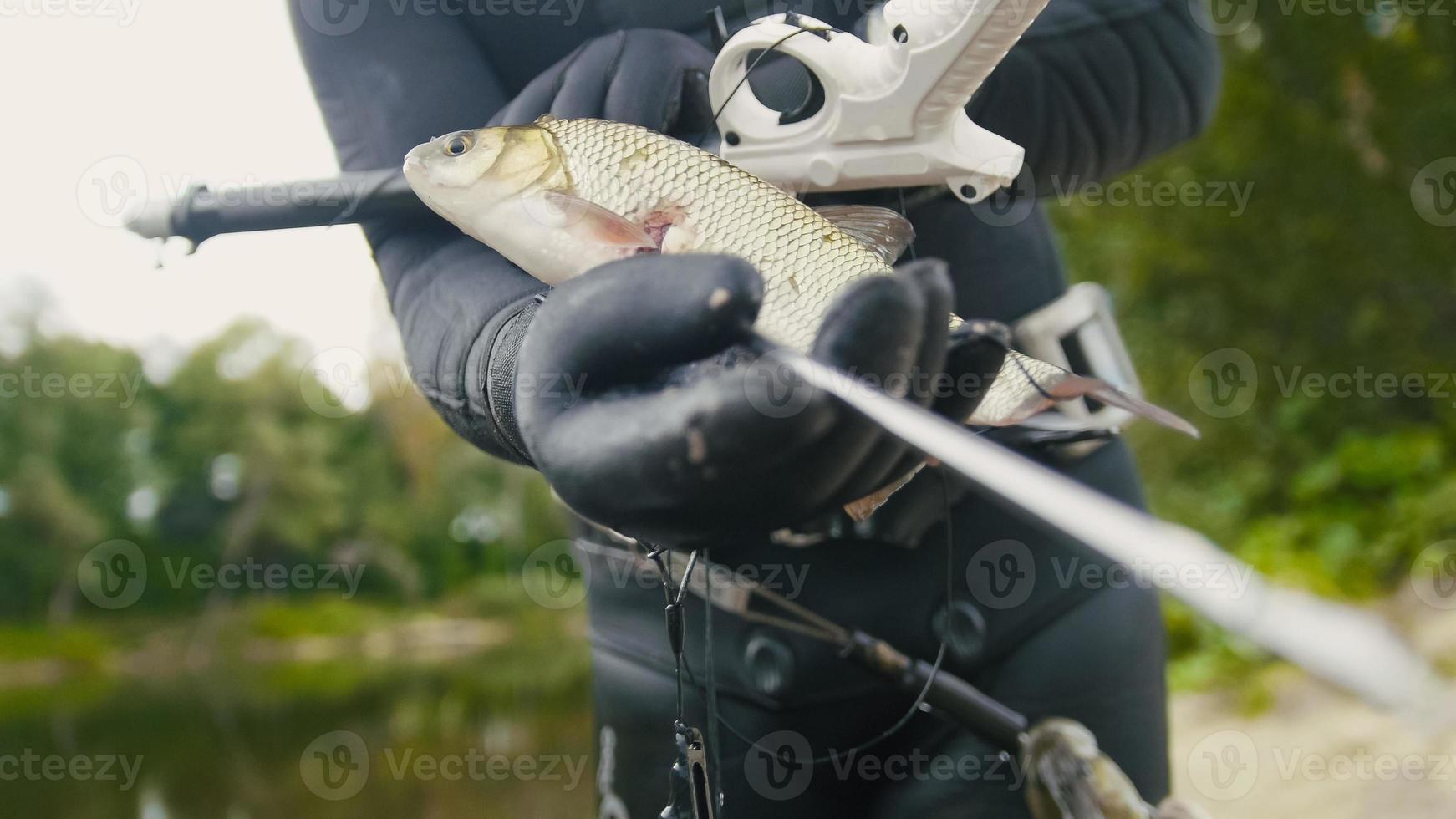 Freshwater Fish at spear of underwater fisherman after hunting in forest river photo