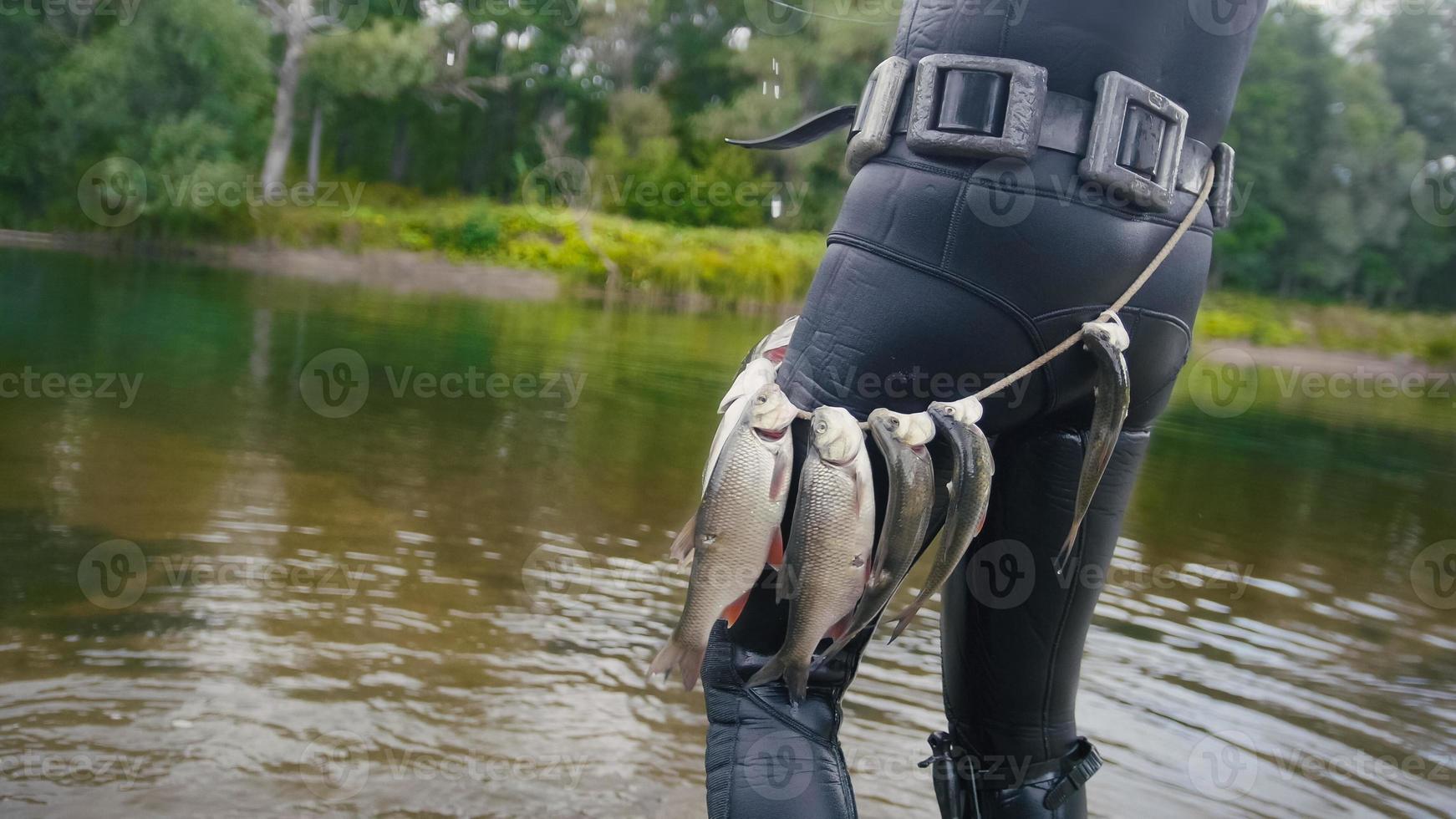 Spear fisherman shows Freshwater Fish on the belt of underwater after hunting in forest river, rear view photo