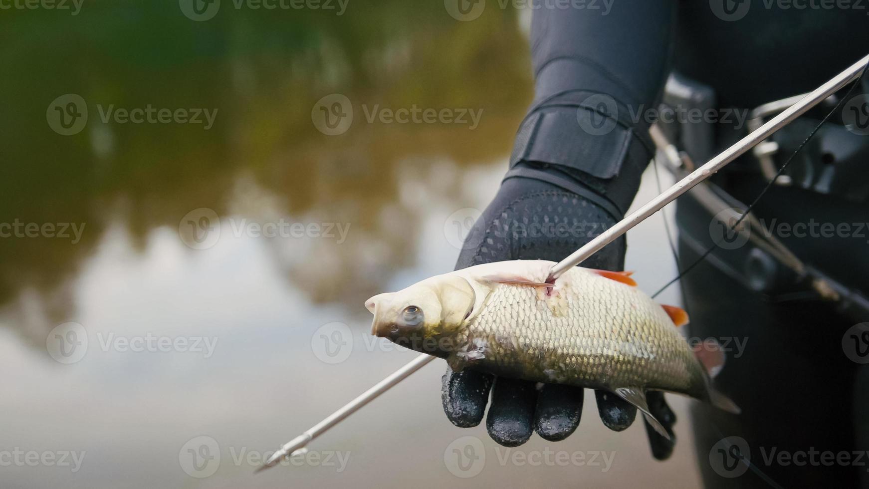 Spear fisherman shows Freshwater Fish at of underwater after hunting in forest river photo