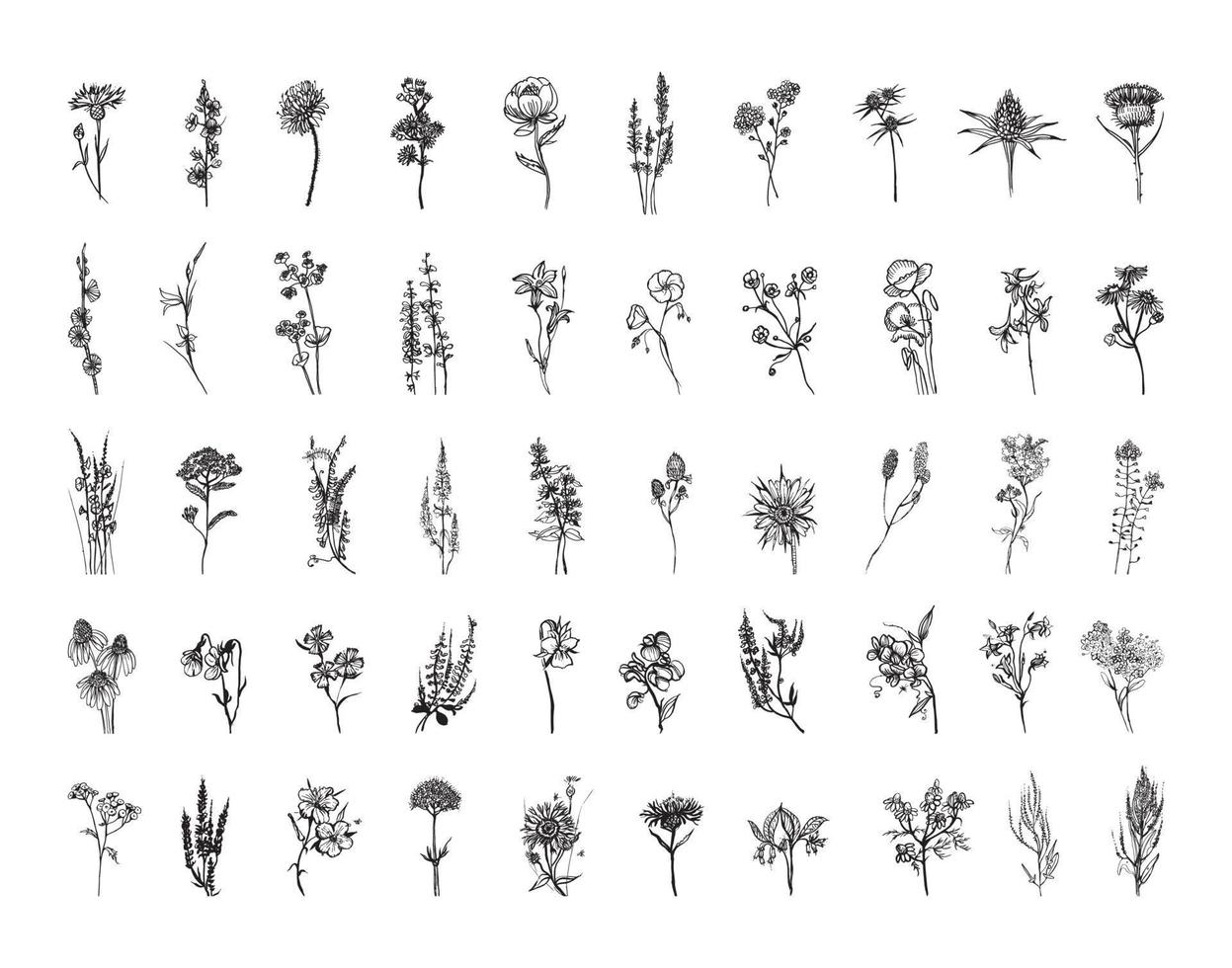 Meadow Flowers in Art Ink Style vector