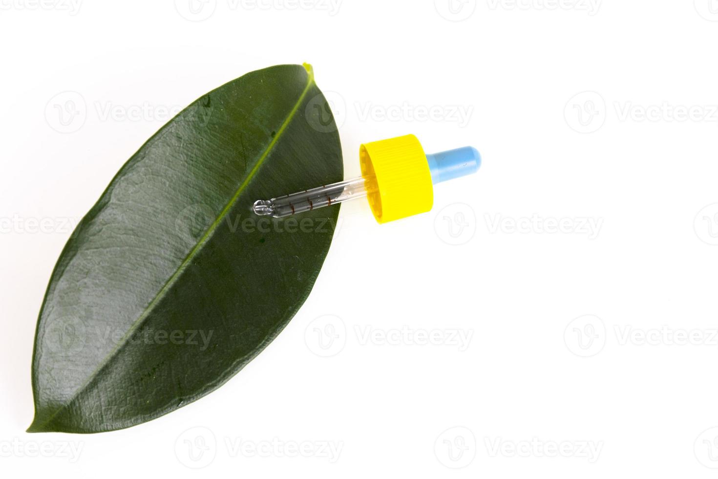 Blank amber glass essential oil bottle with pipette on green leaves background. Copy space photo