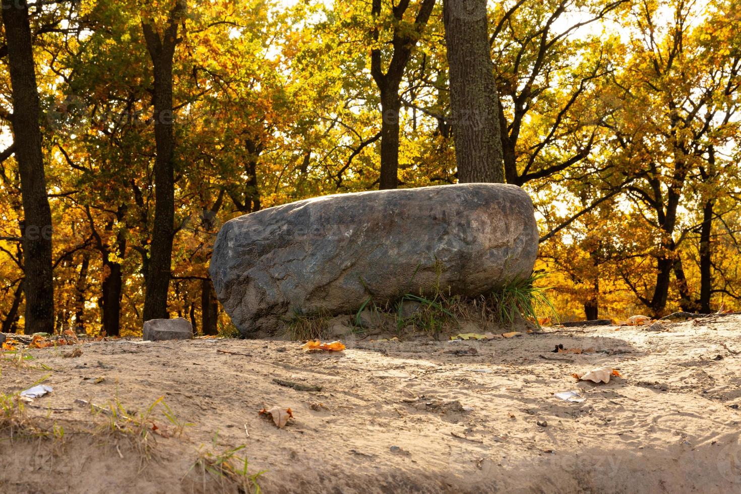 Autumn landscape with an oak grove with a huge boulder, stone, in October. photo